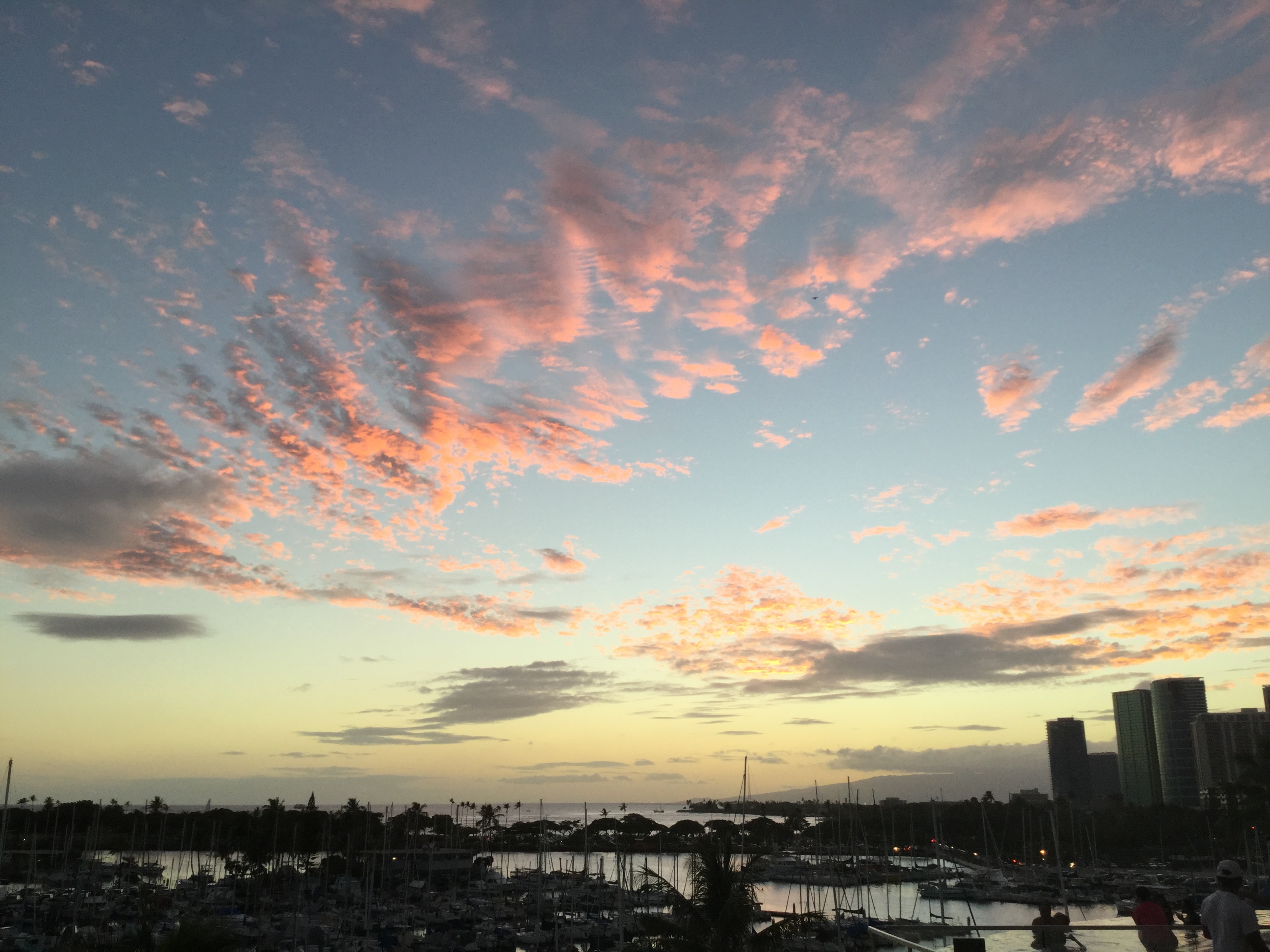 3D14B566-C331-4131-B553-19188EF8692D