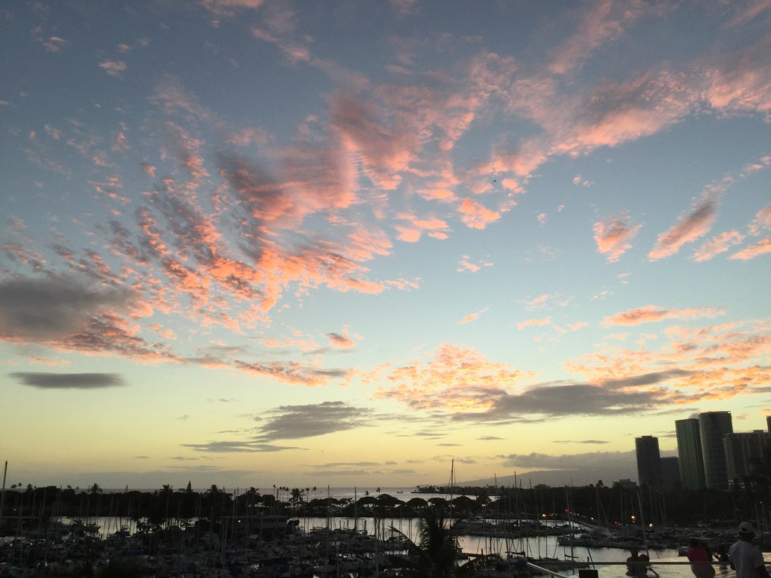 3D14B566-C331-4131-B553-19188EF8692D