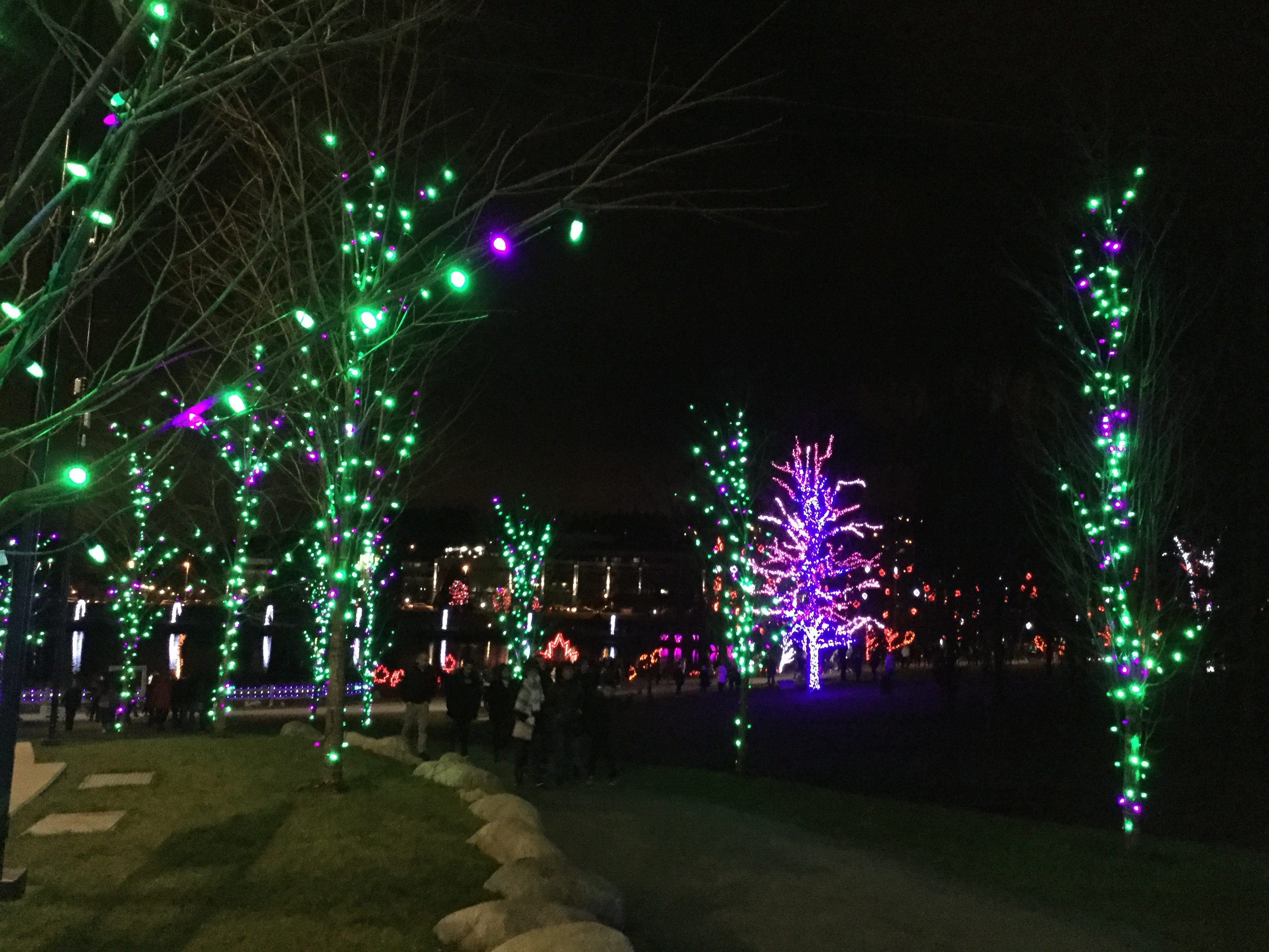 8c9fa845-cda1-439f-a426-0c149cf0f915